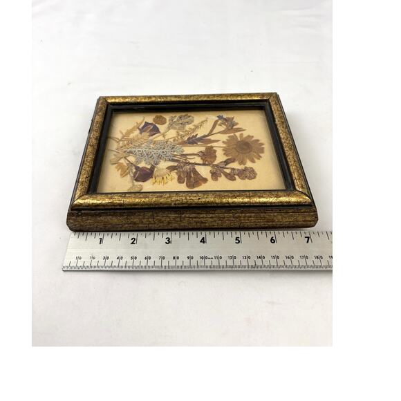 Vintage Signed Dried Pressed Flower Artwork in Glass Frame Botanical Decor 80's - Picture 4 of 12